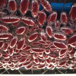Philippe Parreno, speech bubbles
