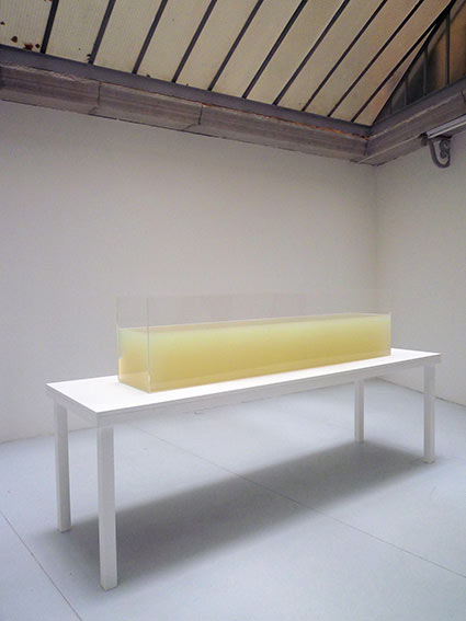 Edith Dekyndt, Water Album 01 (La Saône, Lyon, France), 2013. Aquarium en plexiglas de 40x50x200 cm, 220 l d'eau de la Saône gélifiée. © La BF15