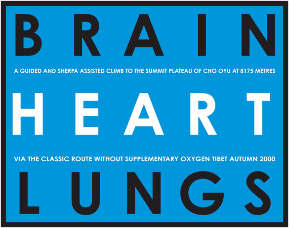 Hamish FULTON, Brain Heart Lungs, 2000 (Tibet). Lettrage vinyle sur peinture / Vinyl lettering over wallpainting, 689 × 543 cm. Courtesy Hamish Fulton; galerie Torri, Paris.
