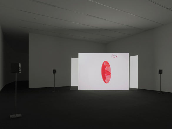 Vue de l’exposition / Installation view « Ed Atkins », Kunsthalle Zürich, 2014 © Stefan Altenburger Photography Zurich