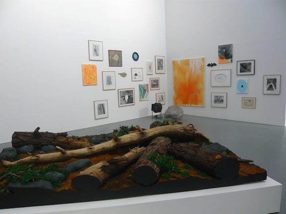 Vue de l'exposition Natura Lapasa au Confort Moderne, Poitiers (Piero Gilardi, Anne Colomes, Samuel Richardot, Laurent Le Deunff, Aurélie Salavert). Photo - A.Launay.