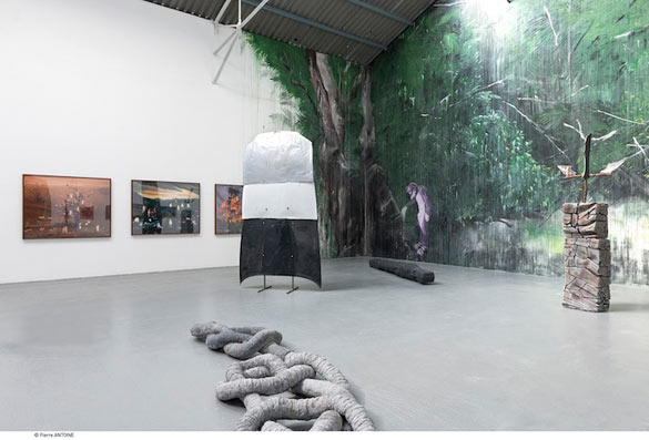 Vue de l'exposition Natura Lapsa au Confort Moderne, Poitiers (Laurent Le Deunff, David Evrard, Damien Gouviez, Fred Calmets, Julien Dubuisson, Marnie Weber). Photo - Pierre Antoine.