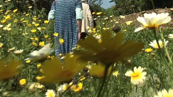 Yto Barrada The Botanist, 2008, courtesy l'artiste et galerie Polaris, Paris.