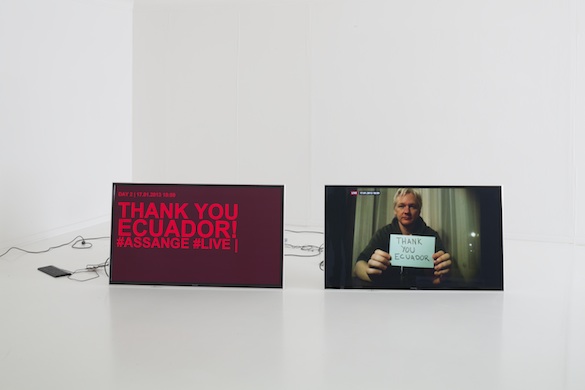 Mediengruppe Bitnik, Delivery for Mr. Assange, 2014. Vue d’exposition / exhibition view Helmhaus Zurich. Courtesy : !Mediengruppe Bitnik