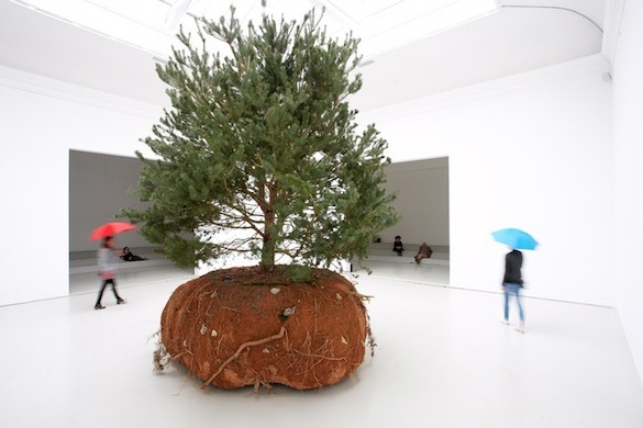 Céleste Boursier-Mougenot, Rêvolutions pour le pavillon français à la 56e Biennale de Venise 2015. Courtesy de l’artiste et Galerie Xippas, Paris ; Paula Cooper Gallery, New York ; Galerie Mario Mazzoli, Berlin. © Laurent Lecat.