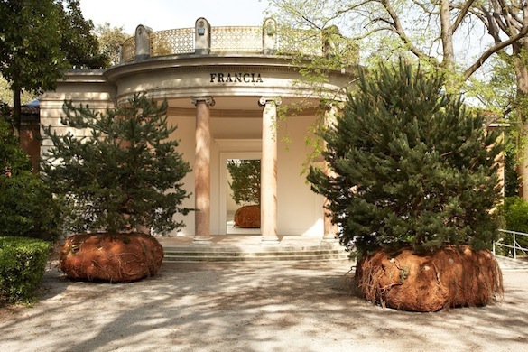 Céleste Boursier-Mougenot, Rêvolutions pour le pavillon français à la 56e Biennale de Venise 2015. Courtesy de l’artiste et Galerie Xippas, Paris ; Paula Cooper Gallery, New York ; Galerie Mario Mazzoli, Berlin. © Laurent Lecat.
