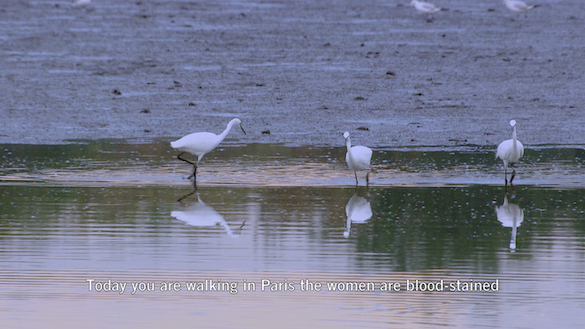 Bethan Huws, Zone, 2013
Film haute définition transféré sur blu-ray, couleur, son, 10'31 Courtesy Bethan Huws, © Bethan Huws & A.D.A.G.P. Paris, 2015