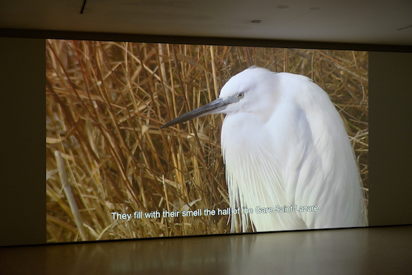 Bethan Huws, Zone, 2013 Film haute définition transféré sur blu-ray, couleur, son, 10'31 Courtesy Bethan Huws, ©Bethan Huws & A.D.A.G.P. Paris, 2015 Photo : Charles Duprat