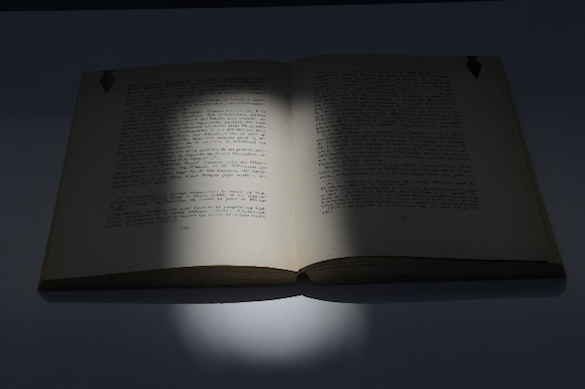 An Underlined Book, 2015 Livre surligné Livre, socle, marque-pages 108 x 56 x 38 cm Courtesy de l’artiste et des galeries Messen de Clercq, OMR, Travesia Cuatro et 1301 PE