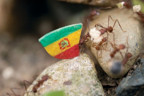 bolivia