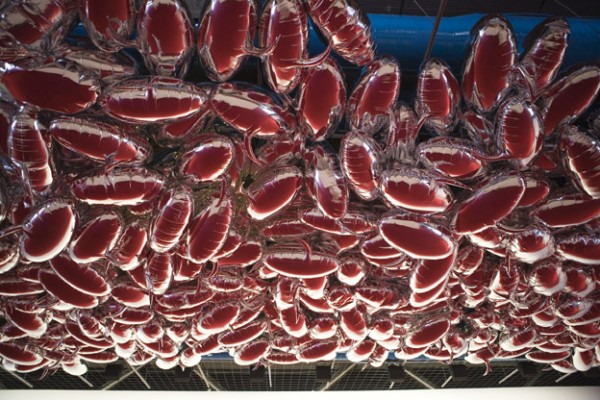 Philippe Parreno, speech bubbles