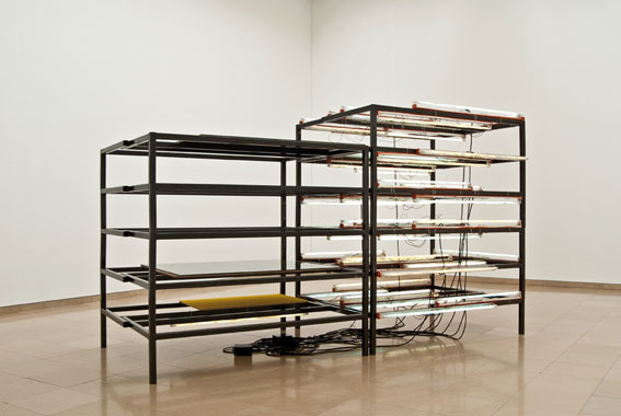 Pedro Cabrita Reis The Unnamed Word #1, 2005. Acier, bois, émail sur verre, tubes fluorescents. Vue de l'exposition au Carré d'Art - Musée d'art contemporain de Nîmes. Photo : J. Ferro Martins.