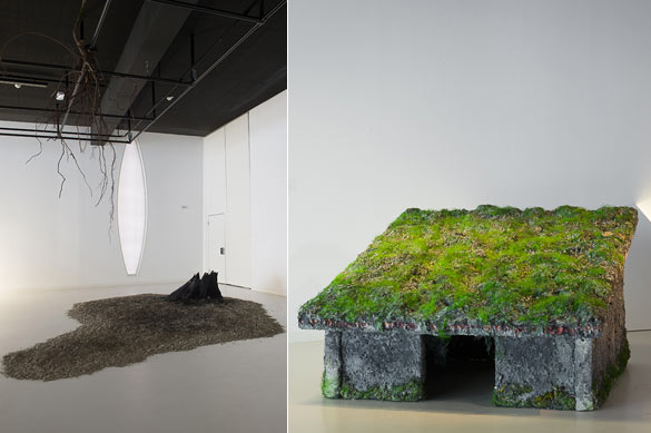 Vues de l’exposition "Etrange nature".