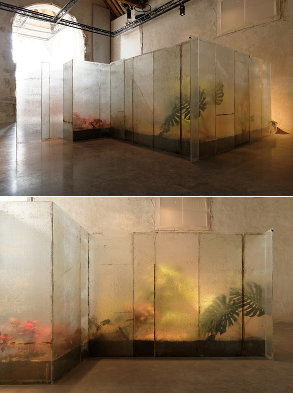 Wilfrid Almendra, Between the Tree and Seeing It (bas, détail), 2014. Verre, silicone, béton, terre, plantes (philodendrons, crotons, irésines), papillons, 753 x 360 x 202 cm. Vue d'exposition, les églises centre d'art contemporain de la Ville de Chelles © Aurélien Mole.