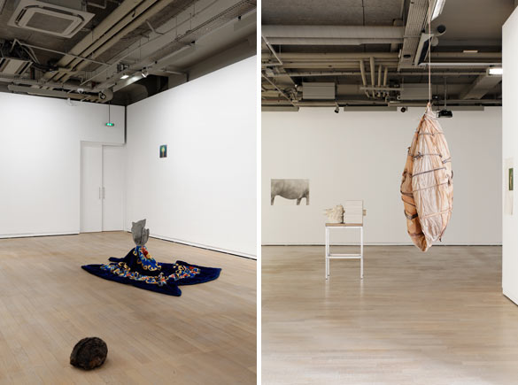 Vue de l’exposition « humainnonhumain » : (gauche/left) au premier plan Jean-Luc Moulène, sans titre (Poumons de boeuf), 2014, béton ciré, acier et couverture, acrylique, courtesy galerie Chantal Crousel, Paris /// (droite/right) au premier plan, Alexandra Bircken, Huile, 2013, collants, latex, courtesy galerie BQ, Berlin.