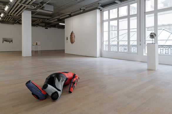 Vue de l’exposition « humainnonhumain » : au premier plan Alexandra Bircken, Storm, 2013, techniques mixtes, 52 x 131 x 63 cm, courtesy galerie BQ, Berlin.