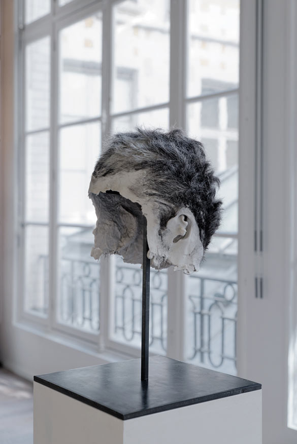Bruno Botella, Oborot, 2012, silicone, cheveux, courtesy galerie Samy Abraham Paris.