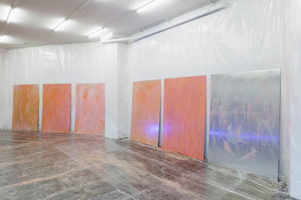 Pamela Rosenkranz, vue de l'exposition / Installation view « My sexuality », 2014 Karma International. Courtesy Karma International & Pamela Rosenkranz. Photo : Gunnar Meier.
