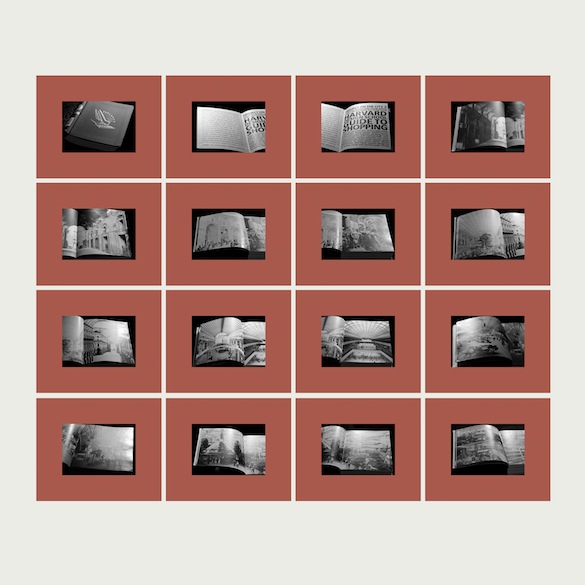 Suzanne Lafont, The First Two Hundred Fifty Five Pages of Project on The City 2, Harvard Design School, GUIDE TO SHOPPING, Taschen publishers, 2001, (détail) 2014, ensemble de 255 planches, impression encres pigmentaires sur papier, chaque planche 43,81 x 53,29 cm