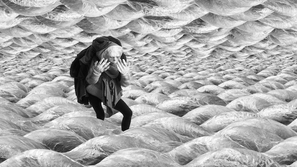 Mercedes Mühleisen, The Gnomic Puddle, 2015. (cliquer sur l'image pour démarrer la vidéo, extrait de 4').