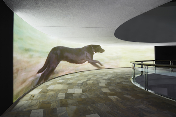 Sturtevant, Finite Infinite, 2010. HDCAM Metal Tape, four camera video installation 16/9, full wall projection, color, sound, infinite. Installation view Fridericianum. Photo Nicolas Wefers. Courtesy Estate Sturtevant, Paris; Galerie Thaddaeus Ropac, Paris/Salzburg.