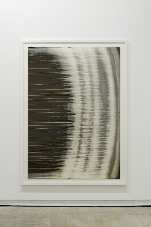 Dove Allouche, Sunflower, 2015. Étain et argent pur sur papier Cibachrome. Vue de l’exposition à la Fondation d’entreprise Ricard. Photo : Aurélien Mole